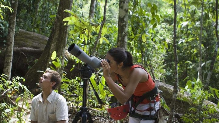 BirdinginNyugweForestNationalPark